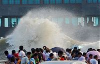 Pictures of the Day: 