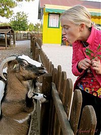 Pictures of the Day: 