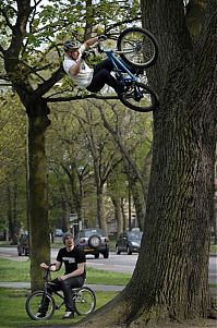 Pictures of the Day: 