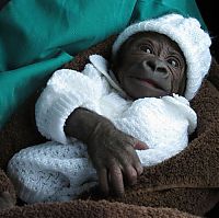 Pictures of the Day: 