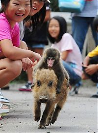 Pictures of the Day: 