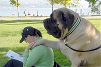 Pictures of the Day: 