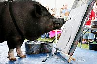 Pictures of the Day: 