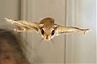 Pictures of the Day: 