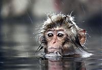 Pictures of the Day: 