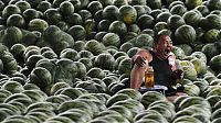 Pictures of the Day: 