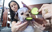 Pictures of the Day: 