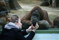 Pictures of the Day: 