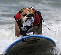 Pictures of the Day: 
