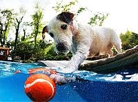 Pictures of the Day: 
