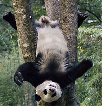 Pictures of the Day: 