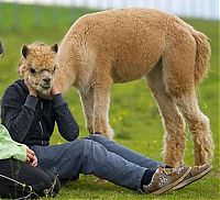 Pictures of the Day: 