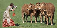 Pictures of the Day: 