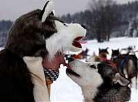 Pictures of the Day: 