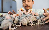 Pictures of the Day: 