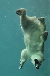 Pictures of the Day: 