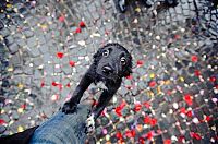Pictures of the Day: 