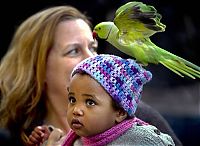 Pictures of the Day: 