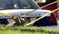 Pictures of the Day: 