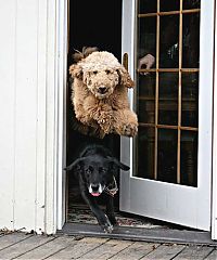 Pictures of the Day: 