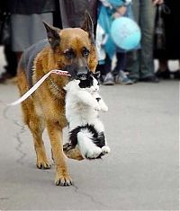 Pictures of the Day: 