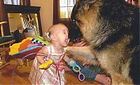 Pictures of the Day: 