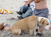 Pictures of the Day: 