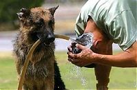 Pictures of the Day: 