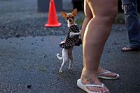 Pictures of the Day: 