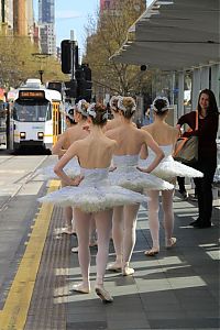 Pictures of the Day: 
