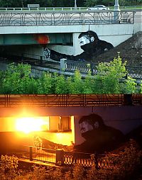 Pictures of the Day