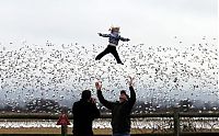Pictures of the Day