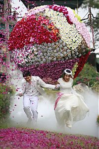 Pictures of the Day