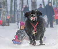 Pictures of the Day: 