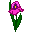 emoticon