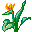emoticon