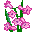 emoticon