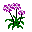 emoticon