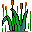 emoticon