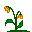emoticon