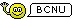 emoticon