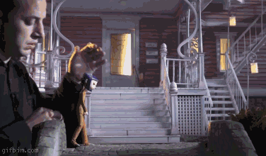 gif animation