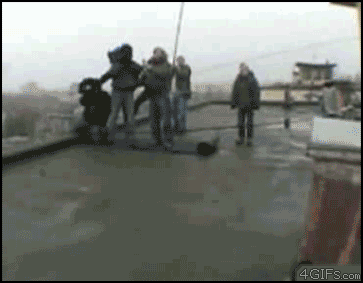 gif animation