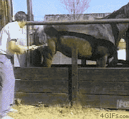 gif animation