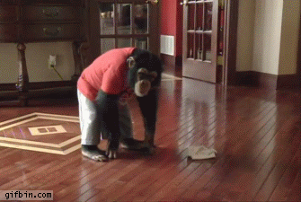 gif animation