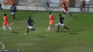 gif animation