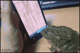 gif animation