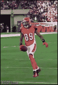 gif animation