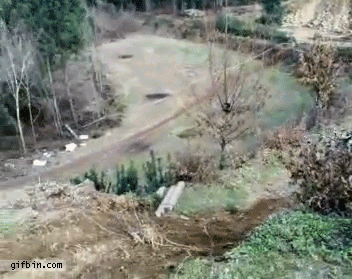 gif animation