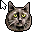Emoticons: emoticon